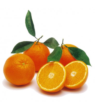 Πορτοκάλια Βαλεντσια Κρήτης Βιο