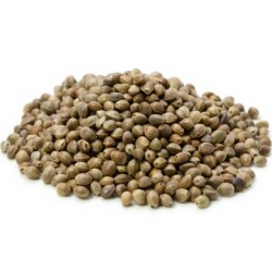 Βιολογικοί Σπόροι Κάνναβης (Hemp) 150γρ SuperΤροφές