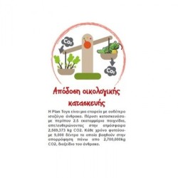 Κρίκετ Plantoys Οικολογικό, Ξύλινο, Εκπαιδευτικό Παιχνίδι