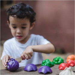 Σετ Λαχανικών σε 5 Χρώματα, Plantoys, Ξύλινο, Οικολογικό, Εκπαιδευτικό, Παιχνίδι