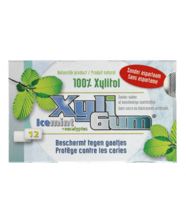 Μαστίχα Ξυλιτόλης Icemint & Ευκάλυπτος, 15 γρ., Xyligum