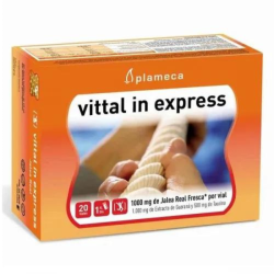 Vittal In Exrpess   20 Φιαλίδια  Full Health
