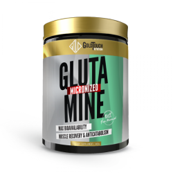 Glutamine  WaterMelon  400g    GoldTouch Nutrition