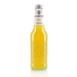 Galvanina Βιολογική Πορτοκαλάδα με Ανθρακικό 355ml