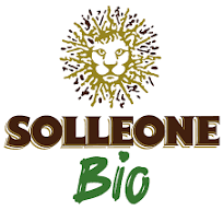 SOLLEONE