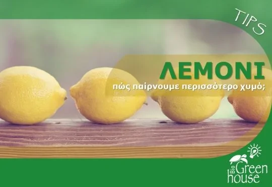 Λεμόνι